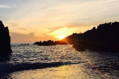 mare