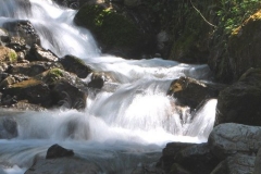 orsomarso